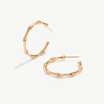 Gold Bamboo Hoop Earrings, 18K Gold Plated Vermeil on Sterling Silver Medium Open Hoops for Women | MaiaMina