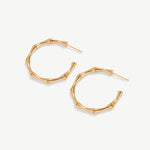 Gold Bamboo Hoop Earrings, 18K Gold Plated Vermeil on Sterling Silver Medium Open Hoops for Women | MaiaMina